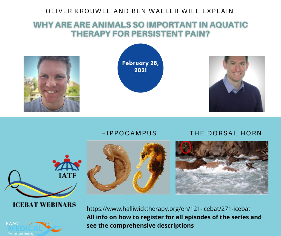 ICEBAT 28 feb 2021 - neurophysiology of persistent pain